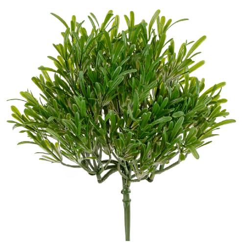 Трава Розмари Фэт куст (2 размера)