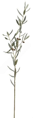 Ветвь оливы большая с плодами (серия Prime)