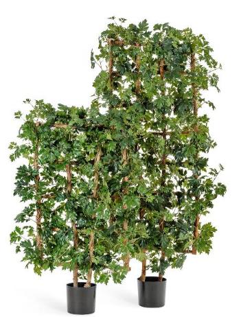 Решетка с циссусом