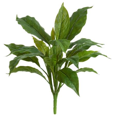 Спацифилум куст Мидл зелёный