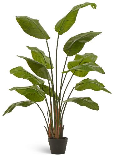 Стрелиция Traveller (13 листов)