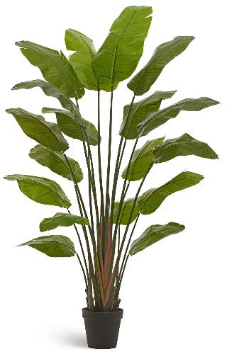 Стрелиция Traveller (18 листов)