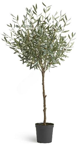 Олива Топиари Шар (серия Prime)