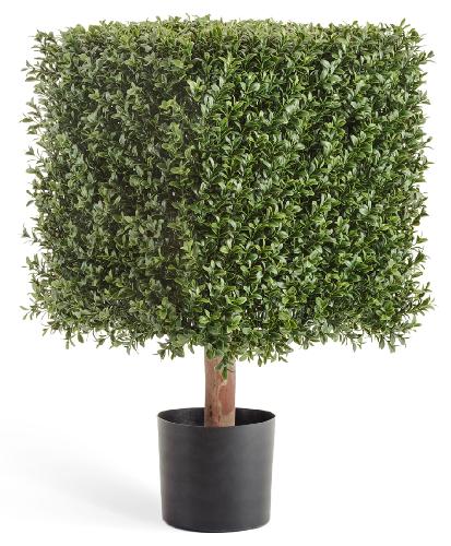 Самшит квадрат уличный на каркасе