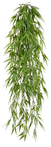 Бамбук ампельный