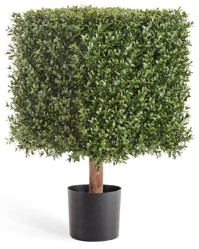 Самшит квадрат уличный на каркасе