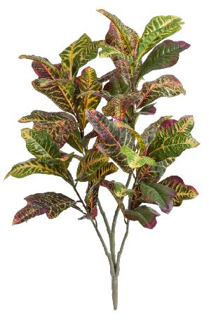 Кротон куст Большой зелёно-жёлто-розовый