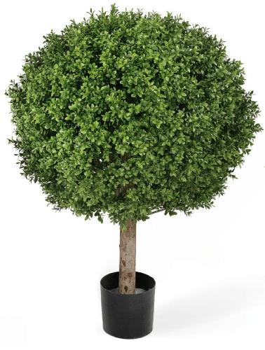 Самшит Шар уличный на коротком стволе