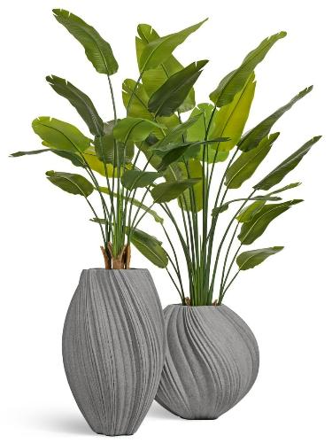 Композиция со стрелициями в кашпо Treez Effectory Dune