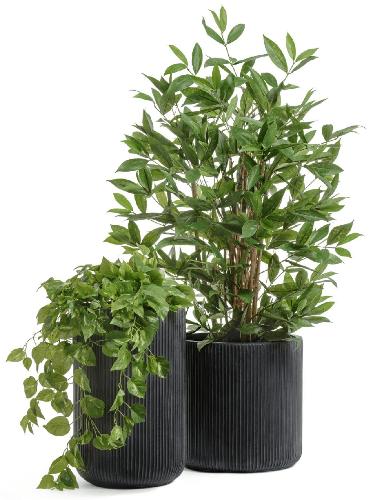 Сет № 4 - Драцена Саркула и Потос в кашпо Treez Ergo Jet цилиндры