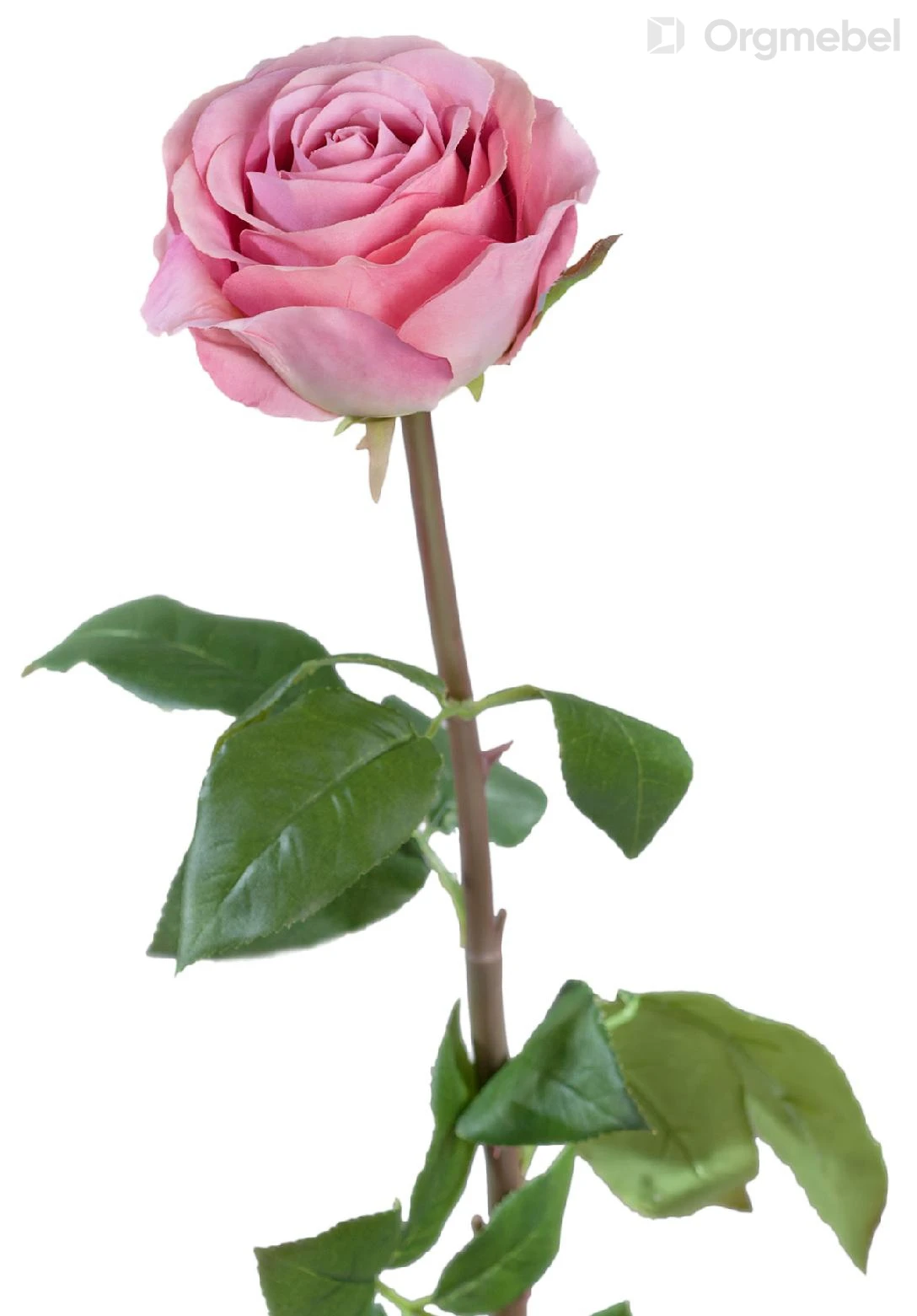 dpysu76s5pqvdfracybkk0pwj2ll7a