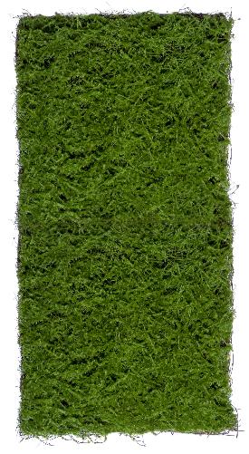 Мох Сфагнум (полотно)