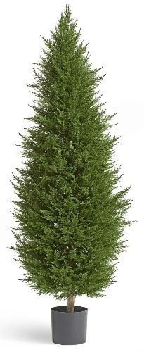 Кипарис Тауэр Элегант уличный новый