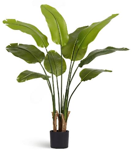 Стрелиция New Style (9 листов)