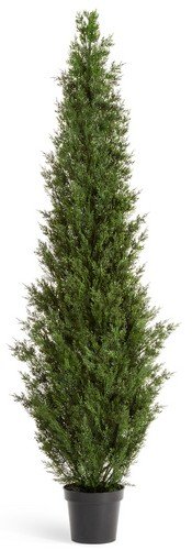 Туя уличная Смарагд Элегант