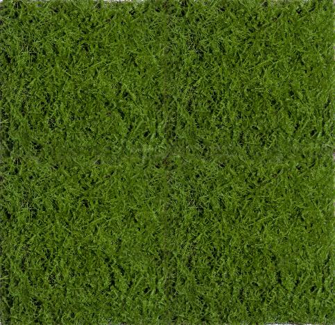 Мох Сфагнум (полотно)