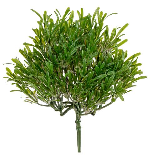 Трава Розмари Фэт куст (2 размера)