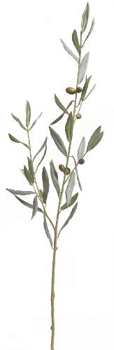 Ветвь оливы (серия Prime)