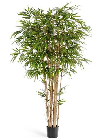 Бамбук натуральный 