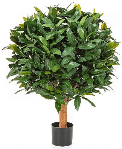 Лавр круглый с UV-фильтром уличный