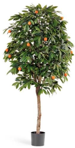 Мандарин Оранж 