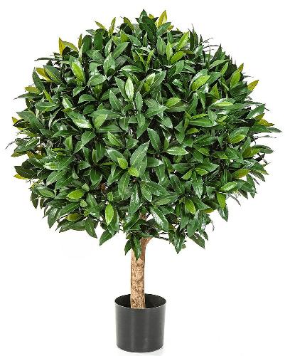 Лавр круглый с UV-фильтром уличный