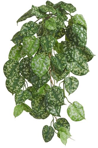 Сциндапсус Пиктус куст ампельный (серия FR - огнезащита) 20.1397FR