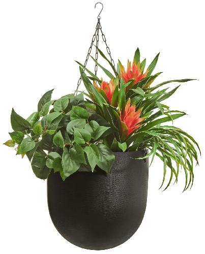 Композиция с гусманией в кашпо Treez Effectory Black Stone Чаша подвесная