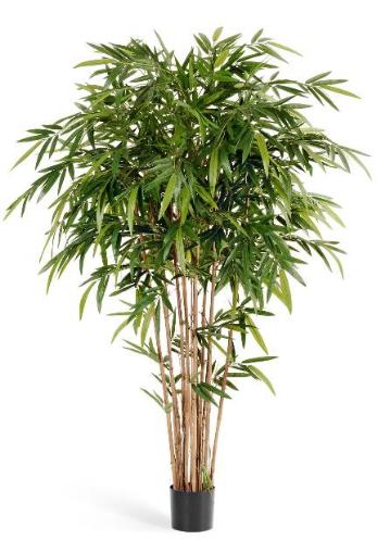 Бамбук Новый натуральный 