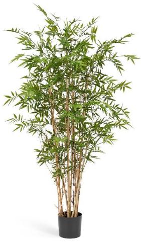 Бамбук Новый Японский Элегант