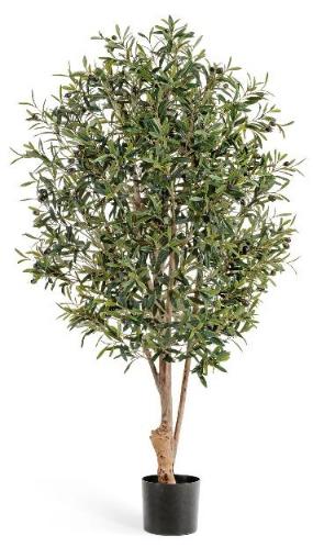 Олива Твист натуральная с плодами 