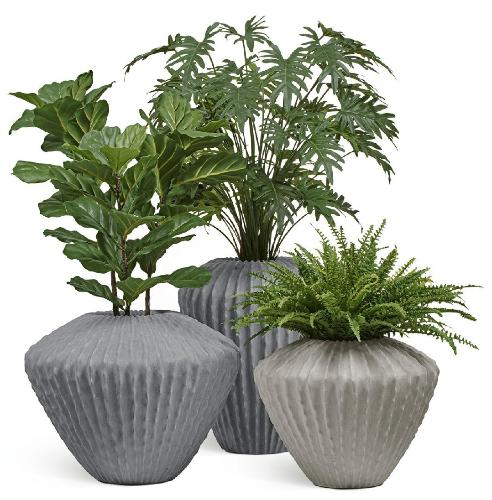 Сет № 18 - Композиция Триптих с Филодендроном Ксанаду в кашпо Treez Effectory Moho