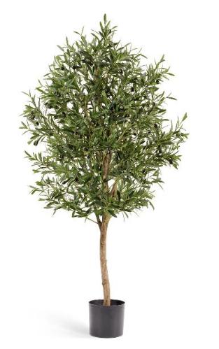 Олива натуральная Вайн