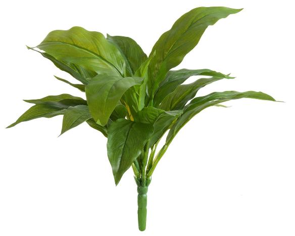 Спацифилум-мини куст зелёный