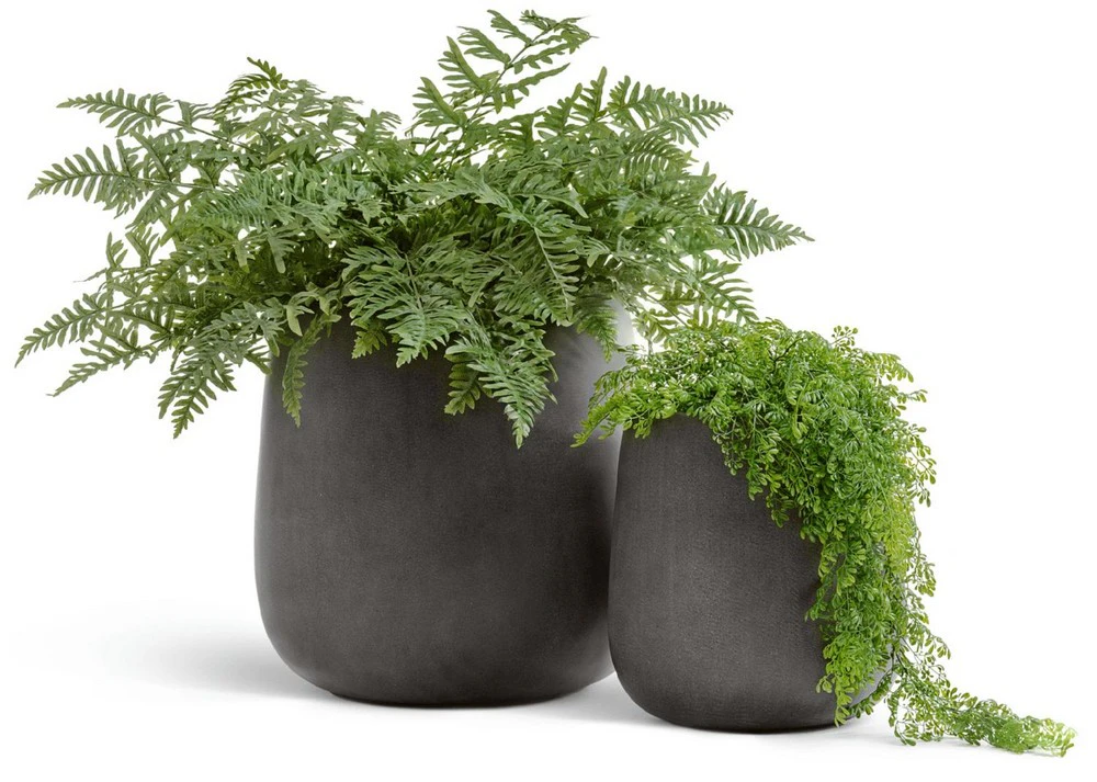 bpcjpj000xc4b1izpqd7h7hy485fpfhl.webp bpcjpj000xc4b1izpqd7h7hy485fpfhl.webp