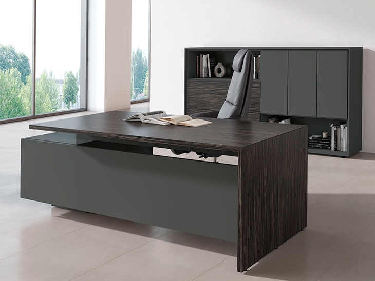 кабинет руководителя DALI